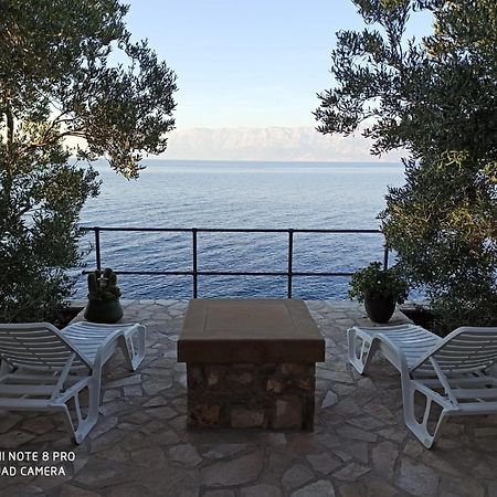 House Jurasovic Villa Gdinj ภายนอก รูปภาพ